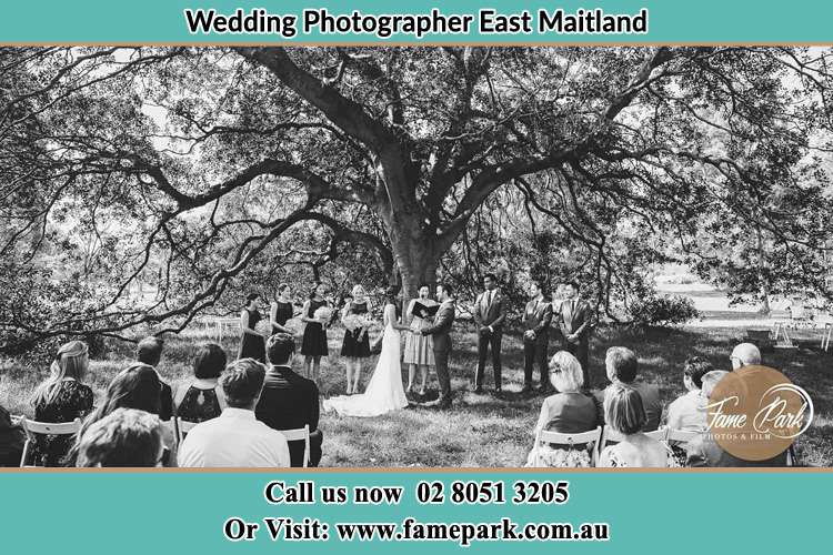 Photo of a wedding ceremony under the big tree East Maitland