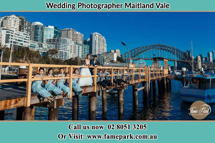 Photo of the Bride and the Groom together with the groom men and bridesmaids on the bridge Maitland Vale NSW 2320