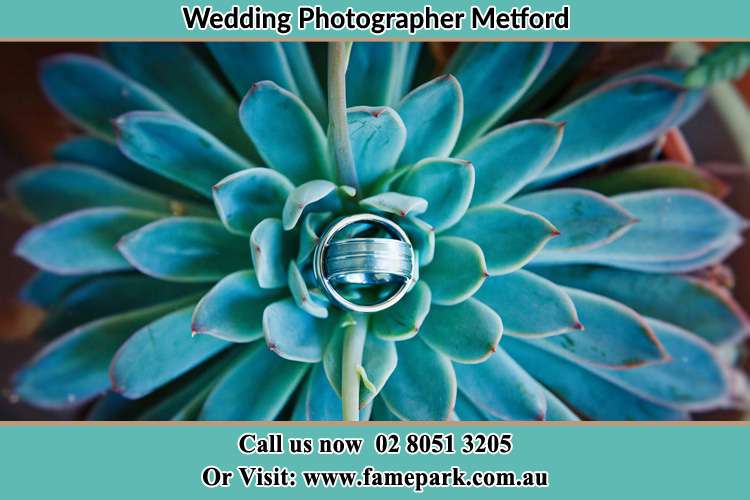 Photo of the wedding rings design on the top of a plant Metford NSW 2323