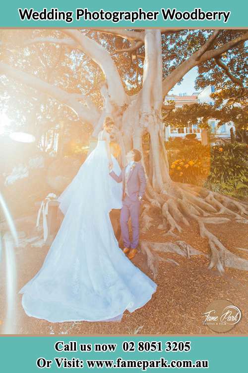 The Groom and the Bride hold their hands while looking at each other under the tree Woodberry